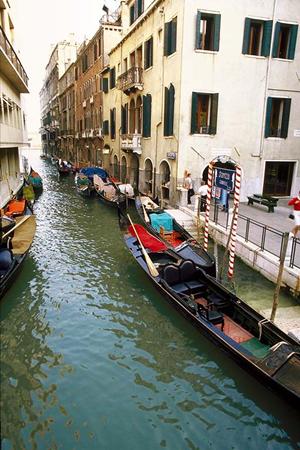 六本木HIGEGORILLA｜六本木の最新版アミューズメントポーカー店とその魅力