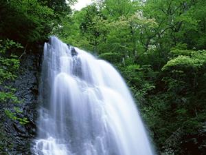 北海道旭川市に位置する東横INN旭川駅東口の魅力と詳細情報