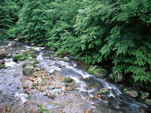 ブータン旅行を取り扱っている会社である