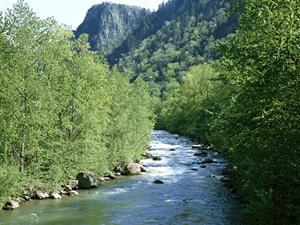 東横INN東京大手町：アクセス抜群の快適ビジネスホテルの魅力と詳細情報