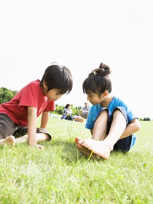 スキーのツアーには内容が濃いスキーツアーオフィスへ