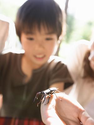 舞妓体験をすることのできるお店
