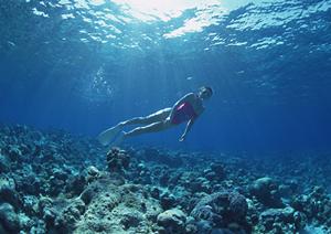 静岡県掛川市にある便利で快適なビジネスホテル「東横INN掛川駅新幹線南口」完全ガイド
