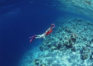 羽田空港近くの快適なビジネスホテル【東横INN羽田空港2】の魅力と基本情報