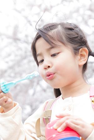 直島フェリー完全ガイド：アクセス、運航時刻、料金、観光スポットを徹底解説！