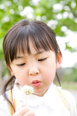 初心者でも安心のシュノーケリング体験