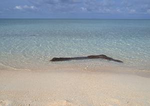 千葉のビジネスホテル【東横INN千葉幕張】で快適な宿泊体験を提供