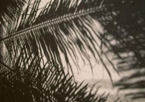 札幌駅南口から徒歩5分！快適な滞在とアクセス抜群の東横INN札幌駅南口の魅力