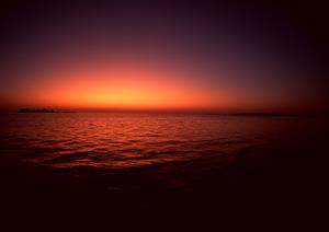 スポーツ保険で日常生活も安心できる