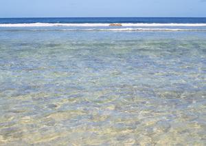 家族で楽しむ石垣島アクティビティ完全ガイド！安全で思い出に残る体験を提案