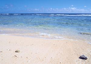 ジビエ肉を味わうことが出来るホテルです