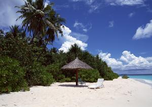 新宿の映画館完全ガイド2025：アクセス・料金・上映作品を徹底解説