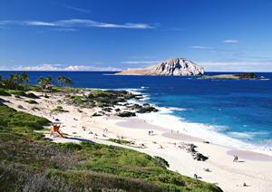 京都美山の「大きな木の家」の紹介です