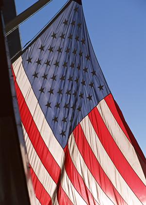 可愛い動物との癒し空間！横浜の魅力溢れるハリネズミカフェを体験しよう