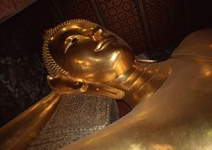 神奈川県川崎市で快適な宿泊を提供する東横INN Jr.川崎駅前の魅力と概要