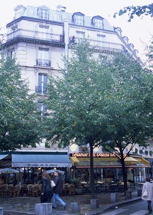 スカルペッタ東京 – ニューヨークスタイルのイタリアンを東京で楽しむ