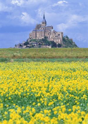 空港や港に近い石垣島の格安レンタカー