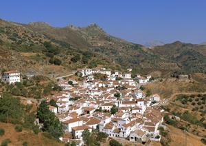 長野県上田駅近くのビジネスホテル「東横INN上田駅前」の魅力と詳細情報