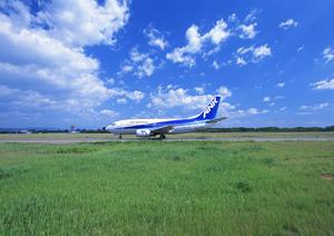 コストパフォーマンス抜群！東京都福生市にある東横イン福生駅前東口の魅力と詳細情報
