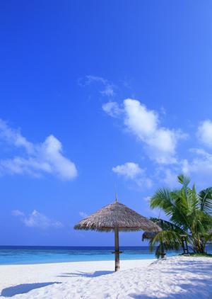 大阪・門真市で快適な滞在を約束！東横INN大阪門真市駅前の魅力と特徴