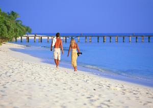 「株主優待を活用した全日空旅行ガイド：家族でのお得な旅を実現する方法」