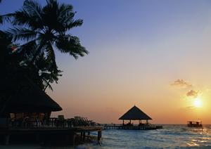 子供が自転車に乗るようになったら自転車保険